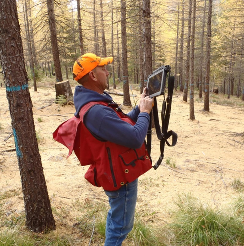 Terry Shaw working in a forest stand